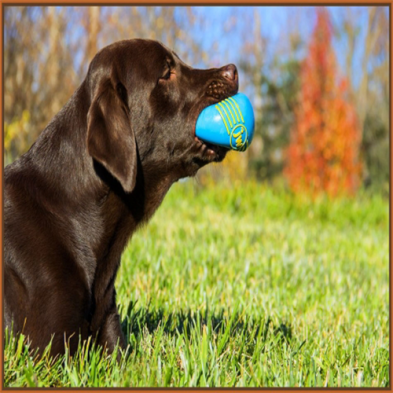 JW® iSqueak® Ball Large Dog Toy