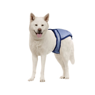 Pooch Pad™ PoochPants™ Reusable Diapers blue - Large