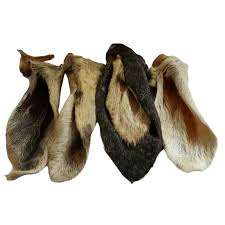 Furry Lamb Ear