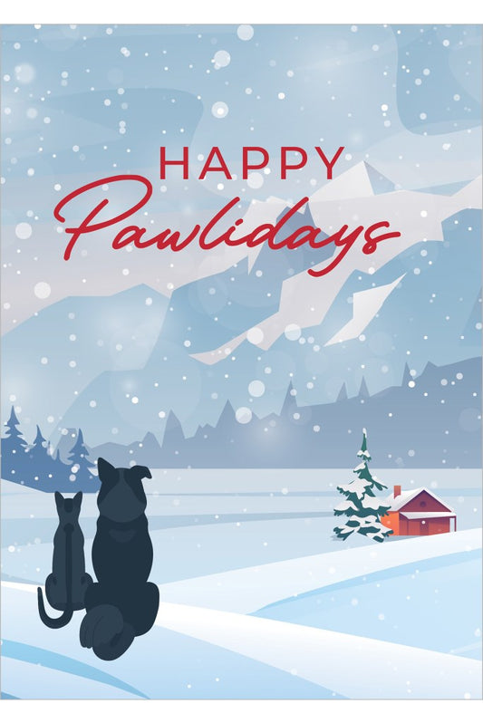 Assorted Greeting Cards - Each