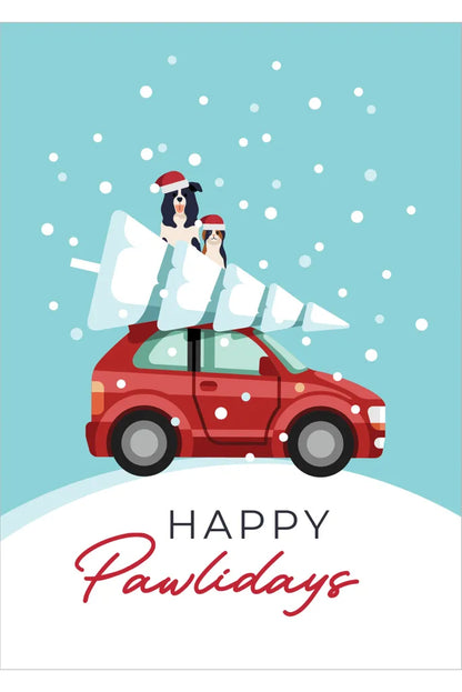 Assorted Greeting Cards - Each