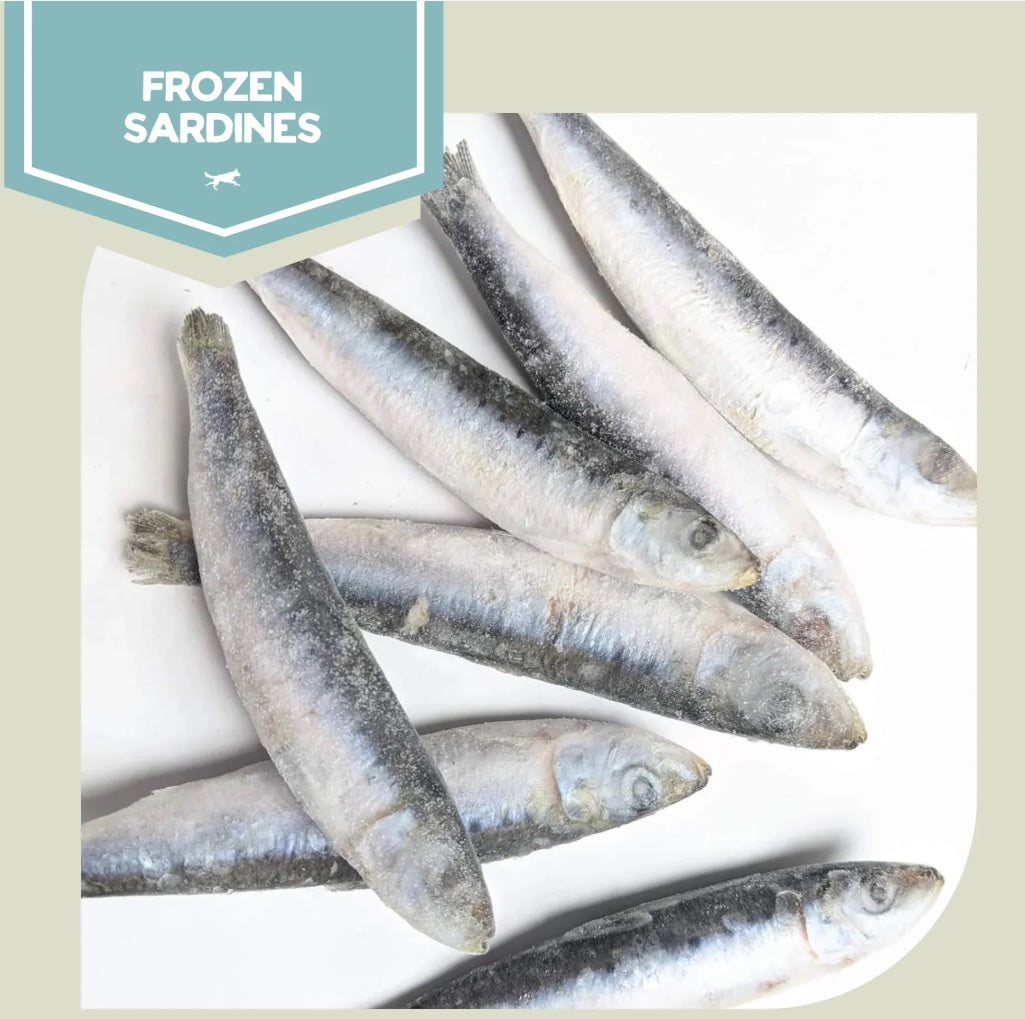 Raw Performance Sardines - 1lbs