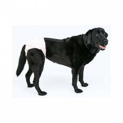 Pooch Pad™ PoochPants™ Reusable Diapers Pink Large