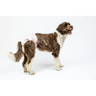 Pooch Pad™ PoochPants™ Reusable Diapers Pink X- Large