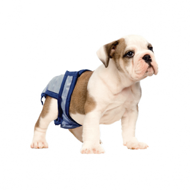 Pooch Pad™ PoochPants™ Reusable Diapers blue - Small