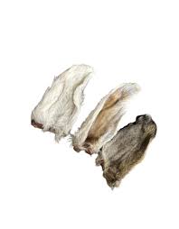 Rawsome Dogs Rabbit Ear - Each