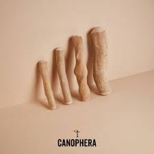 Canophera Coffee Tree Wood Chew - Extra Small