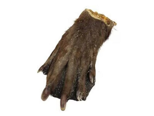 Beaver Feet Large
