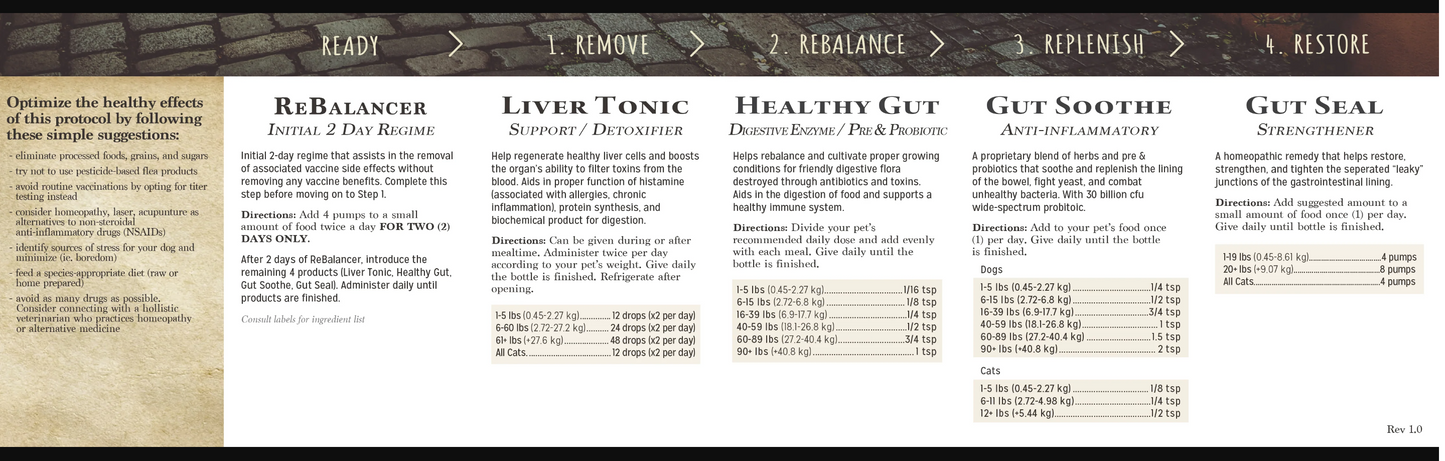 Adored Beast Leaky Gut Protocol