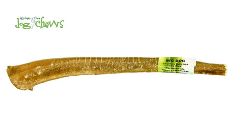 Nature's own Big Dog Bully Stick - 12"