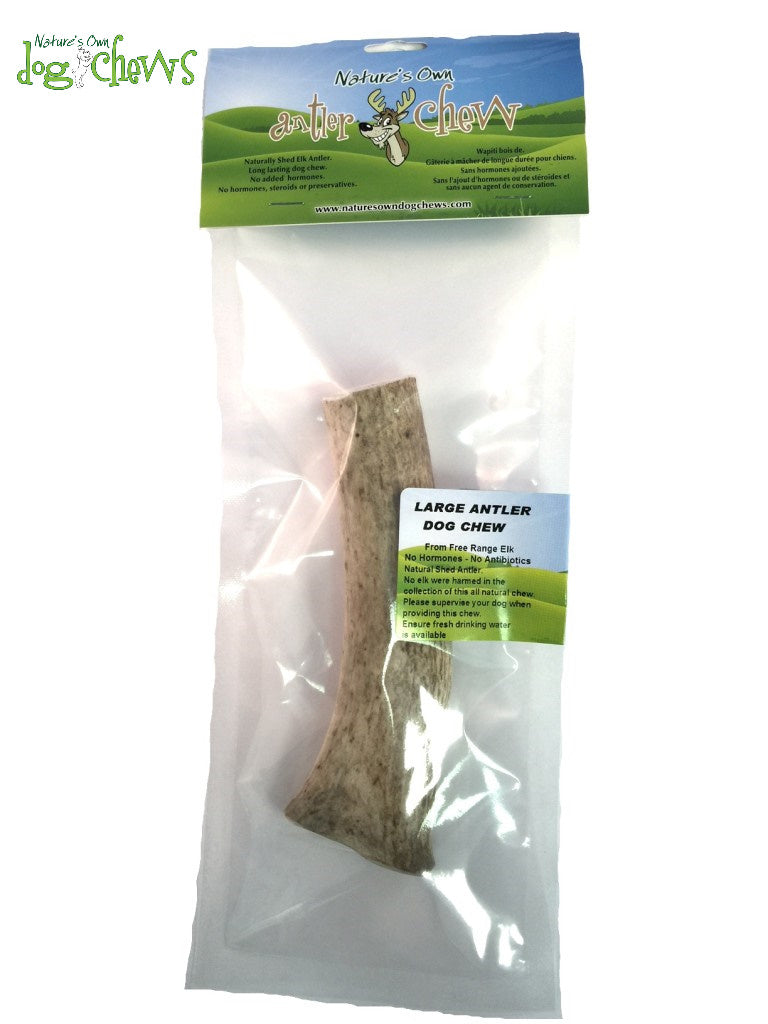 Nature's Own Elk Antler - Large