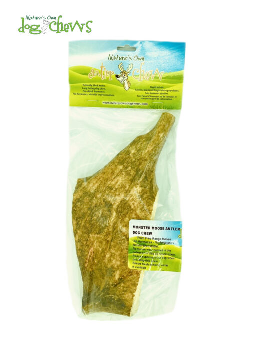 Nature's Own Moose Antler - Monster