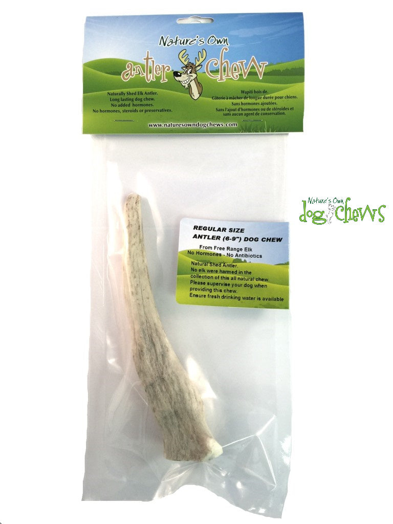Nature's Own Elk Antler Chew (6-9") - Regular